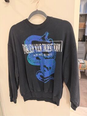 Anine bing sweatshirt size small